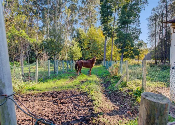 Casa Do Moinho Rural Campo E , 9 Pessoas, Animais Benvindos Σπίτι διακοπών Espinho (Aveiro)