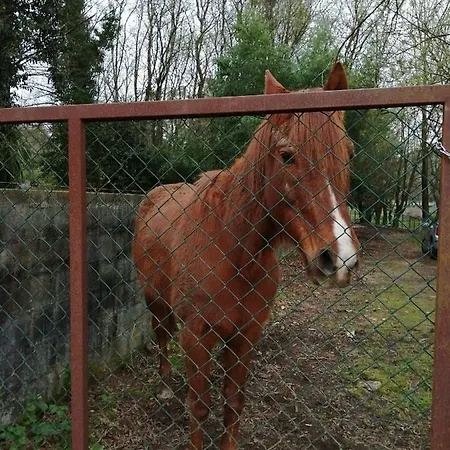 Casa de Férias Casa Do Moinho Rural Campo E , 9 Pessoas, Animais Benvindos