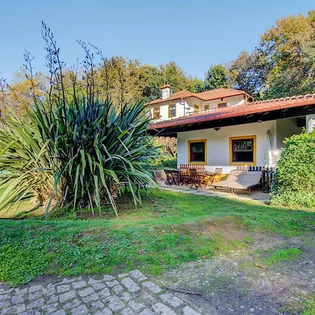 Casa Do Moinho Rural Campo E , 9 Pessoas, Animais Benvindos Espinho