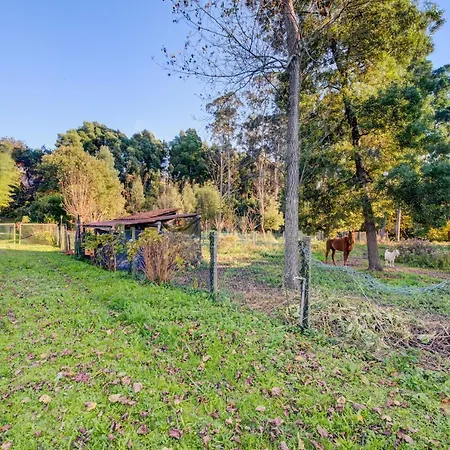 Casa de Férias Casa Do Moinho Rural Campo E , 9 Pessoas, Animais Benvindos