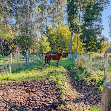 Casa Do Moinho Rural Campo E , 9 Pessoas, Animais Benvindos Casa de Férias Espinho (Aveiro)