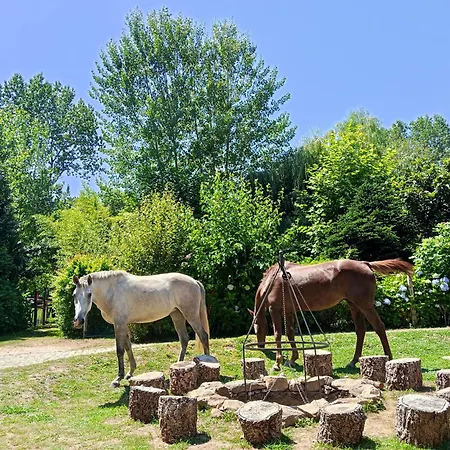 Casa Do Moinho Rural Campo E , 9 Pessoas, Animais Benvindos Hébergement de vacances Espinho (Aveiro)