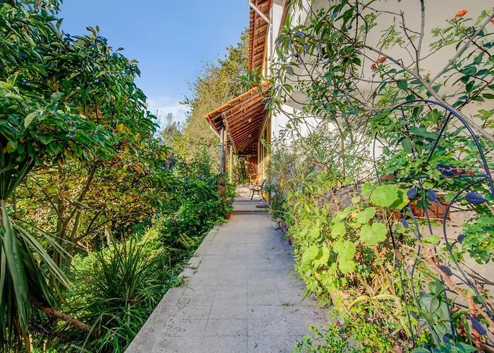 Casa Do Moinho Rural Campo E , 9 Pessoas, Animais Benvindos Casa vacanze *