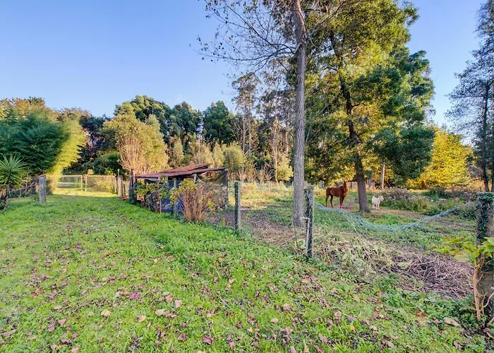 Prázdninový dům Casa Do Moinho Rural Campo E , 9 Pessoas, Animais Benvindos